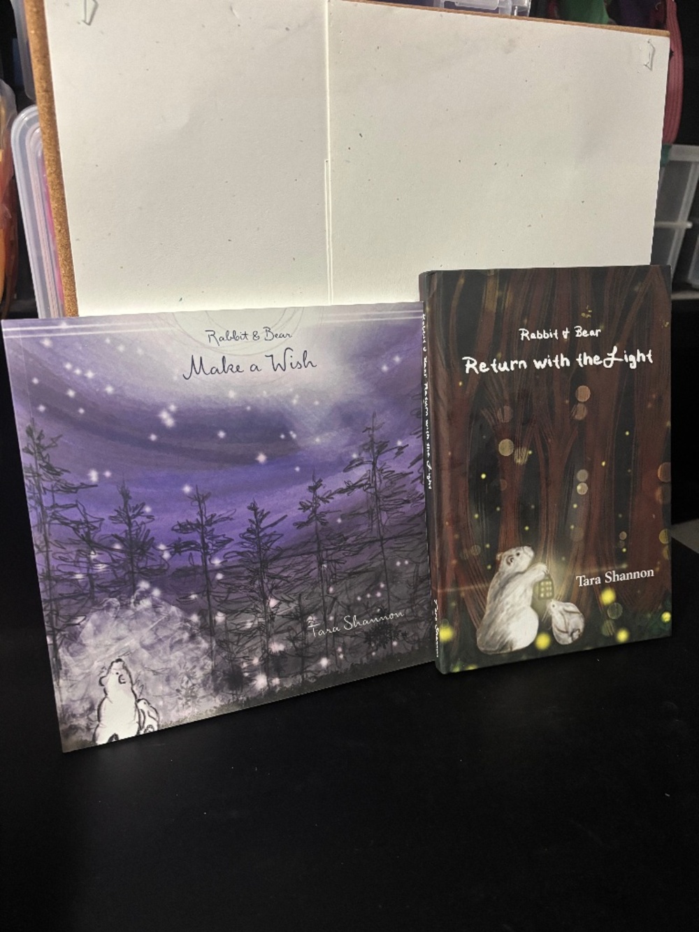 Rabbit and Bear books by Tara Shannon